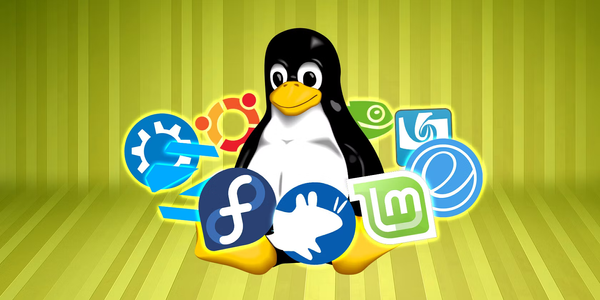 What is the Best Linux Distribution?